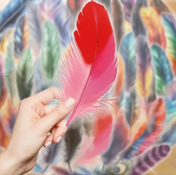 Colorful Feather Sticker‎ Set - Picture 6 of 7